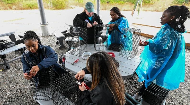 一群学生和工作人员一起制作牡蛎笼.