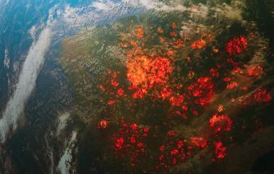 南美洲亚马逊雨林的火灾生态灾难